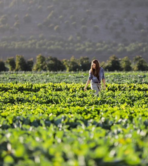 Bayer y Microsoft establecen una asociación estratégica para optimizar y promover las capacidades digitales para la cadena de valor de alimentos, forrajes, combustibles y fibras