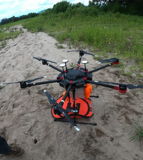 Los 5 beneficios más importantes de reforestar con drones