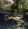 El caribe y sus esfuerzos en la educación ambiental | Día Mundial de la Educación Ambiental
