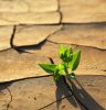 3 medidas urgentes que Bayer propone para disminuir las emisiones de CO2 de la agricultura