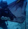 Desarrollan una cápsula de café compostable y biodegradable en el medio marino