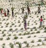 Kilimo invita a optimizar el uso del agua en el cultivo de alimentos