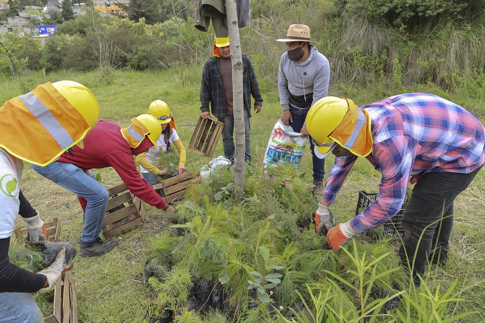 Aires de Campo se une por tercer año consecutivo a la campaña de reforestación en la Barranca de Tarango