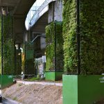 Sustentabilidad urbana, transformando las ciudades del gris al verde con beneficios ambientales, psicológicos, estéticos y sociales