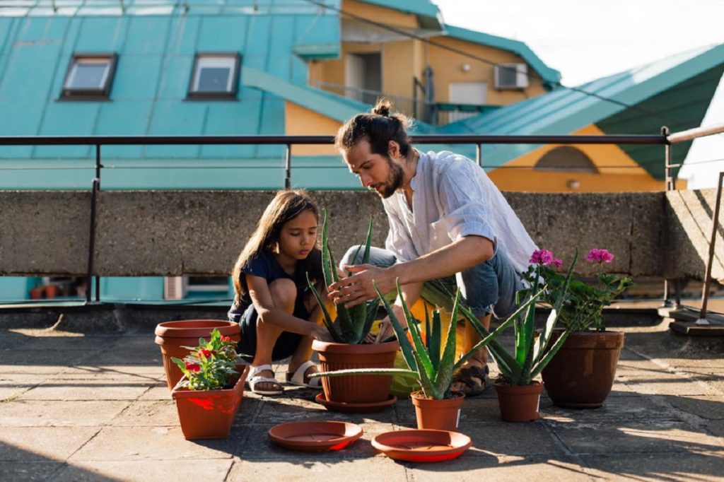 De la inspiración a la acción: Lo que mueve a las personas por proteger el medio ambiente desde Pinterest