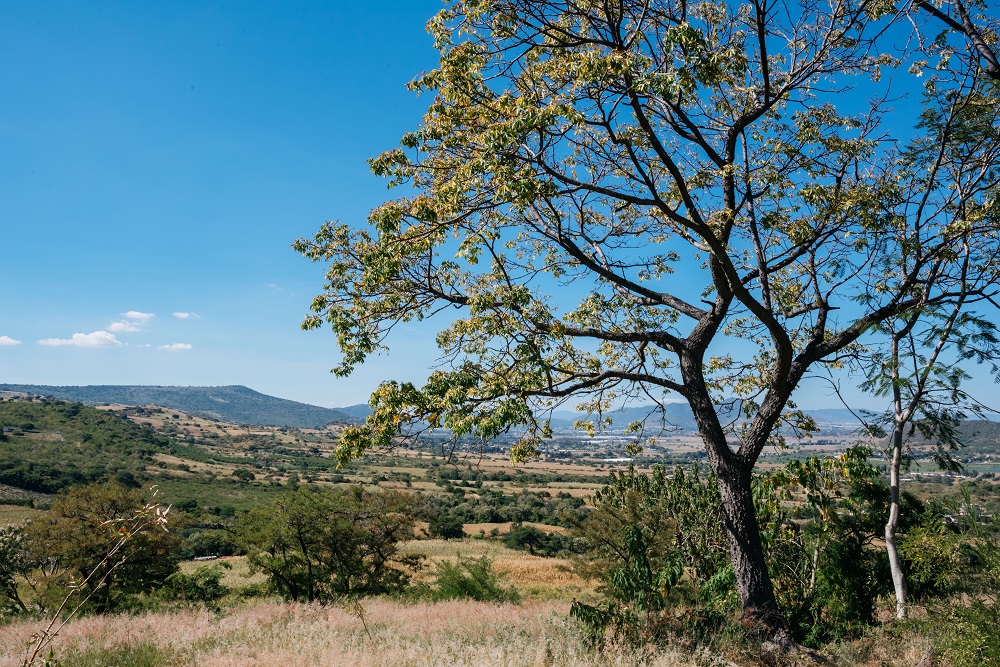 Brown-Forman reafirma su compromiso con la sostenibilidad y la conservación de los recursos naturales