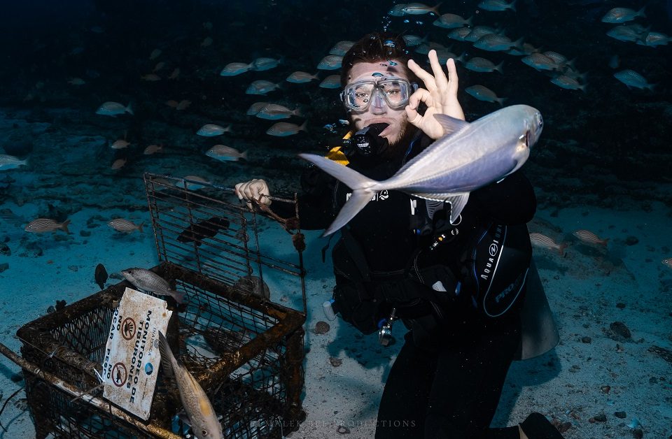 Maestros del mar: de la pesca al turismo sustentable para proteger a los tiburones en el Caribe mexicano