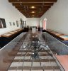 Joven Mexicano Revoluciona el Estudio de Insectos al Fusionar IA y Biodiversidad con la App Bichos ID Joven Mexicano Revoluciona el Estudio de Insectos al Fusionar IA y Biodiversidad con la App Bichos ID