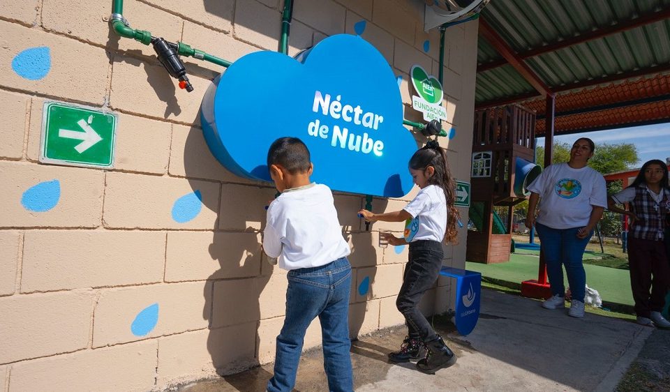 Grupo AlEn e Isla Urbana inauguran “Néctar de Nube”, un sistema de purificación de agua de lluvia en escuelas públicas