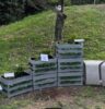 Diseñan jardín interactivo con IA que convierte señales de abejas en arte inmersivo Diseñan jardín interactivo con IA que convierte señales de abejas en arte inmersivo