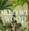 Explora el asombroso mundo de los árboles con World Wide Wood