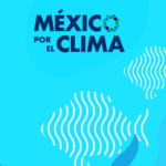 Pesca Con Futuro participará en México por el Clima con el panel «Conectando a quienes transforman el océano y las aguas interiores»