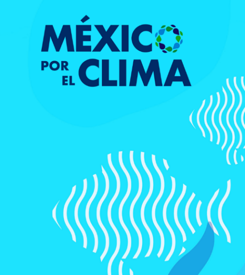 Pesca Con Futuro participará en México por el Clima con el panel «Conectando a quienes transforman el océano y las aguas interiores»